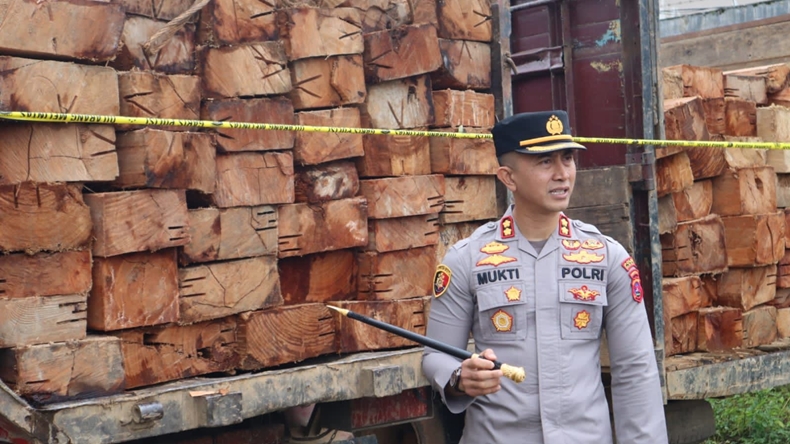 Polisi Temukan 176 Kayu Balok di Solok Selatan, Diduga Terkait Illegal Logging
