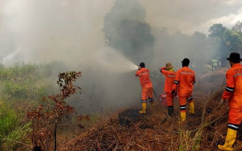 Karhutla di Ogan Ilir Sumsel, 5 Hektare Lahan Semak Belukar Terbakar