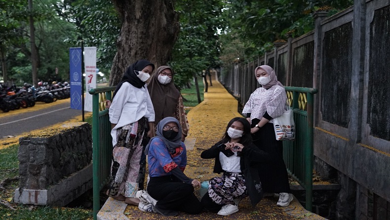 Guguran Bunga Angsana di UNS, Berikan Momen Indah untuk Swafoto