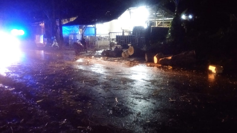 Hujan Deras-Angin Kencang Terjang Garut, 2 Pohon di Karangpawitan dan Limbangan Tumbang