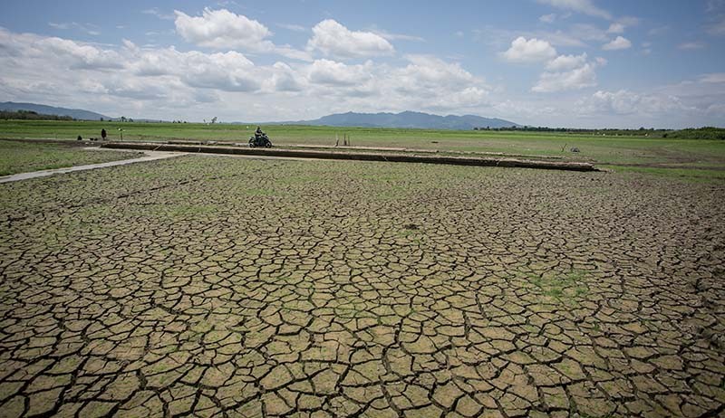 Fenomena Jalan Lama Waduk Gajah Mungkur Muncul saat Air Menyusut - Bagian 2
