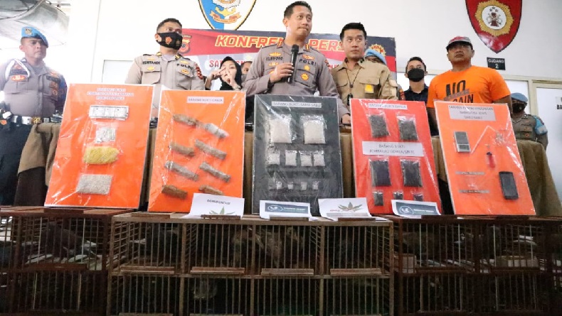 Terungkap, 3 Pengedar Narkoba di Bandung Cekoki Merpati Balap dengan Ganja