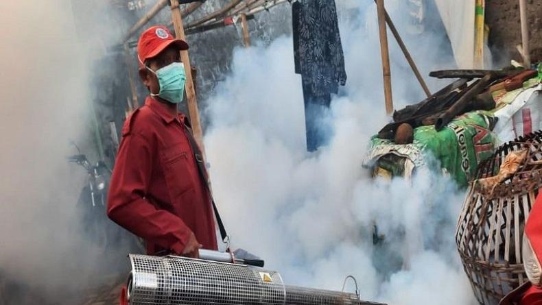 DBD Jangkiti 155 Warga di Kota Pekalongan, 2 Meninggal Dunia