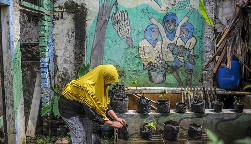 Warga Bandung Manfaatkan Lahan Sempit Tanam Tomat hingga Pakcoy - Bagian 3