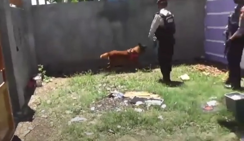 Ungkap Kasus Pembunuhan Karyawan Koperasi di Gowa, Polisi Turunkan Anjing Pelacak