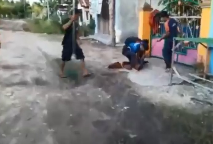 Resahkan Warga, Kera Ekor Panjang Peliharaan yang Lepas 2 Hari Ditangkap