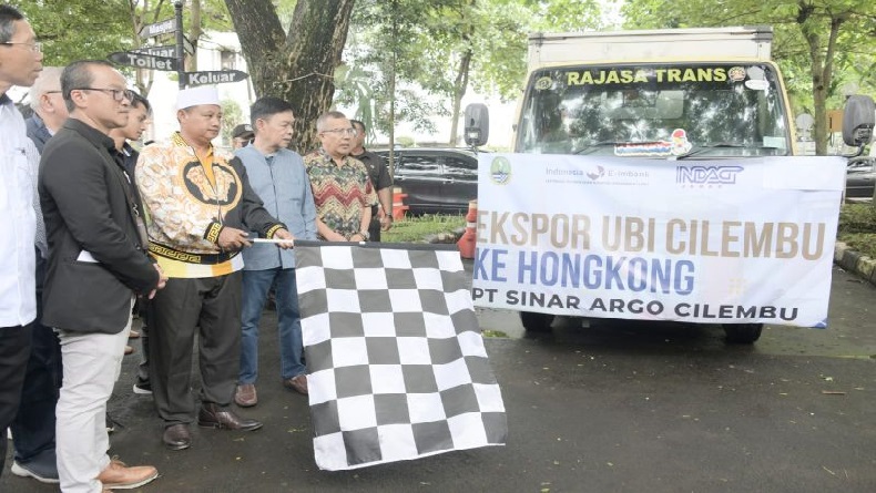 Ubi Cilembu Khas Sumedang Senilai 300.000 Dolar AS Diekspor ke Hongkong