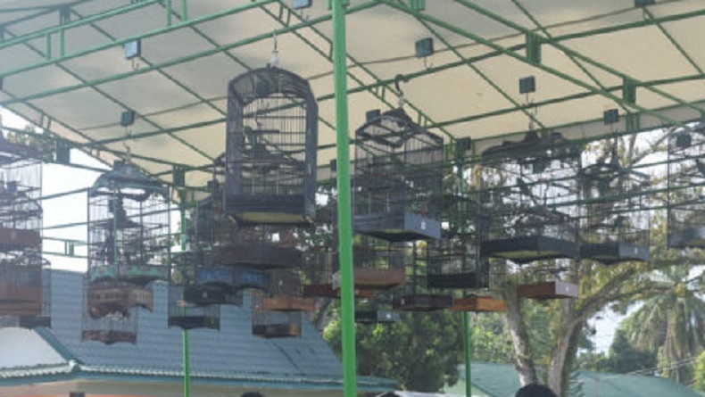 Seru, 700 Peserta Lomba Burung Kicau Perebutkan Piala Danrem 031 Wirabima