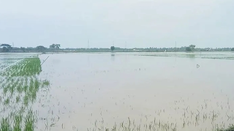 Diguyur Hujan, Puluhan Hektare Sawah dan Fasilitas Umum di OKU Rusak Dihantam Banjir 