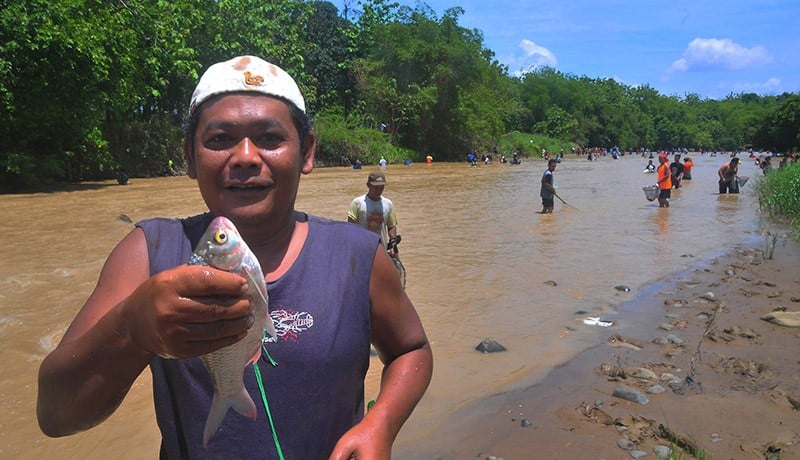 Tradisi Tubo, Warga Grobogan Bersama-sama Tangkap Ikan di Sungai - Bagian 3