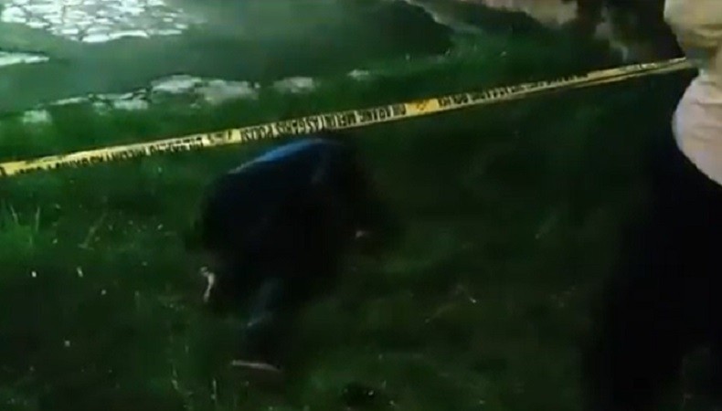 Kendari Gempar! Pria Tewas Bersimbah Darah di Lahan Kosong Diduga Korban Pembunuhan