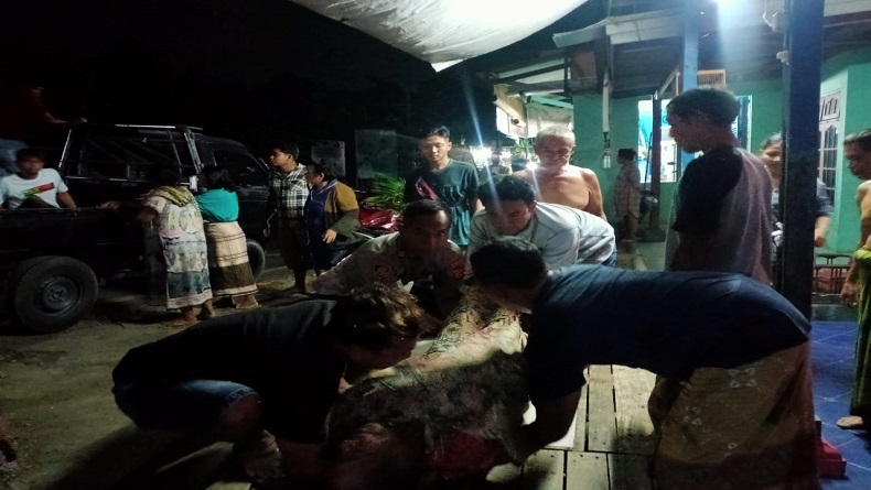 Indramayu Heboh, Sopir Meninggal saat Kemudikan Colt Diesel Bermuatan Beras