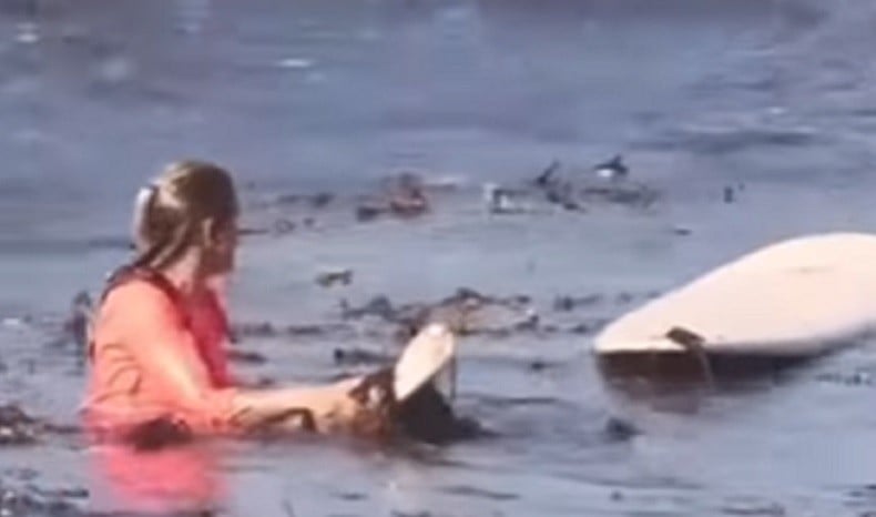 Video Viral Bule Gagal Surfing, Tubuhnya Dihantam Ombak Penuh Sampah