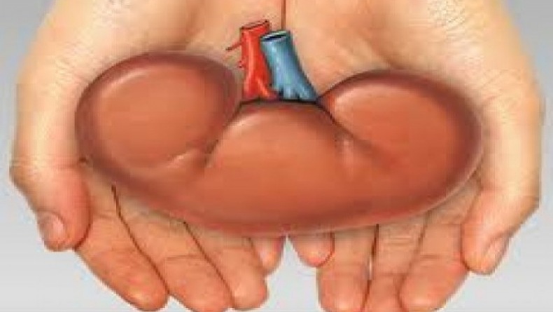 Ngeri, 13 Anak di DIY Kena Gangguan Ginjal Akut, 5 di Antaranya Meninggal Dunia