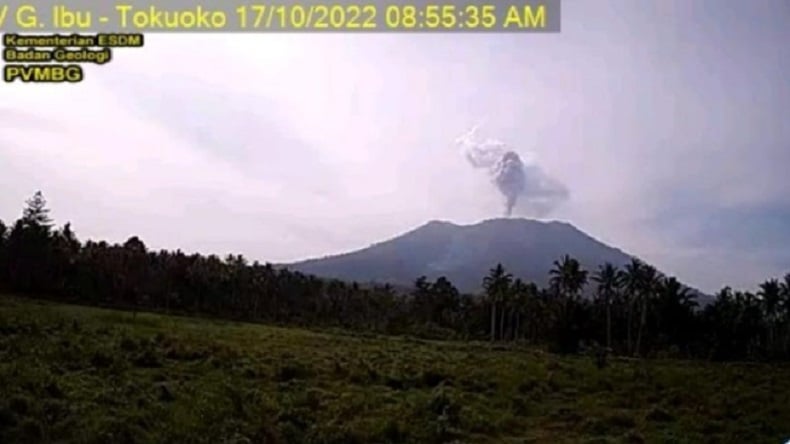 Erupsi, Gunung Ibu Lontarkan Kolom Abu Setinggi 800 Meter