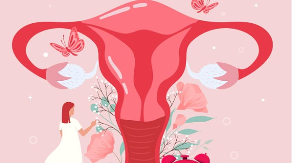 Proses Menstruasi Pada Wanita Tahapan Gejala Dan Hormon Yang Memengaruhi