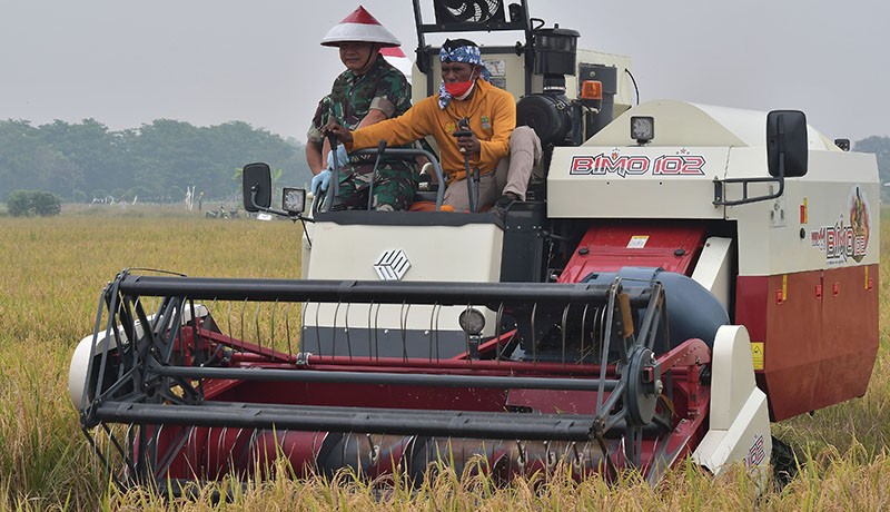 Potret Jenderal Dudung Pakai Caping Merah Putih Panen Jagung dan Naik Traktor - Bagian 2
