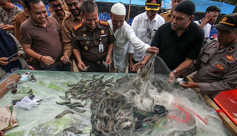 Panen 8 Ton Udang Vaname Hasil Budi Daya Sistem Bioflok - Bagian 2