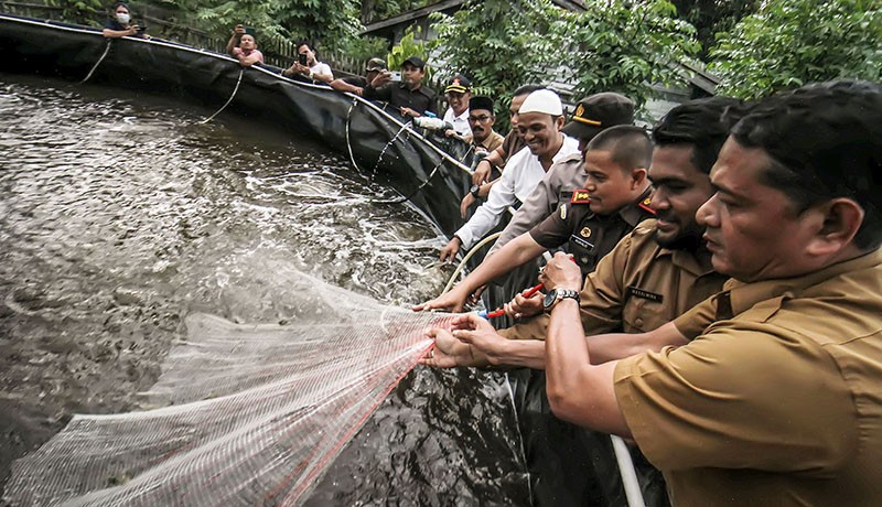 Panen 8 Ton Udang Vaname Hasil Budi Daya Sistem Bioflok - Bagian 1