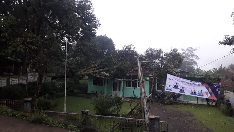 Diguyur Hujan, Pohon Durian Tumbang Timpa Kantor KUA Sukaresmi Cianjur