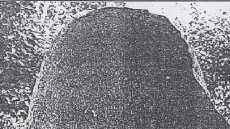 5 Prasasti Kutukan dari Sriwijaya, Hukuman Bagi Para Pembelot Kerajaan