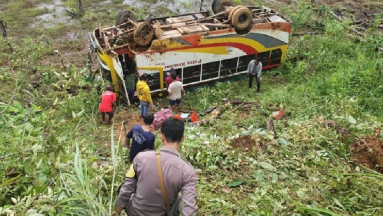 Bus Terjun ke Jurang di Kalbar, Angkut Puluhan Karyawan Perusahaan Perkebunan Kelapa Sawit