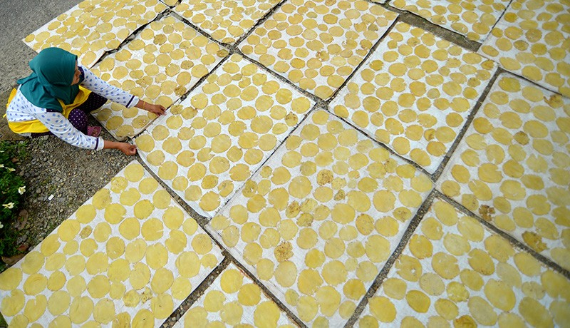 Membuat Kerupuk Jengkol Khas Padangpariaman - Bagian 2
