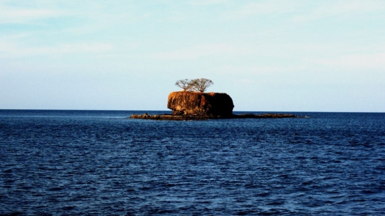 7 Pulau di Indonesia yang Sama dengan Nama Hewan, Nomor 4 Hati-Hati Dihuni Banyak Ular