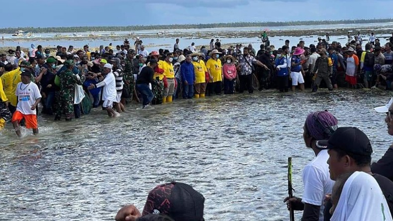 Festival Mane'e, Tradisi Tangkap Ikan Laut Gunakan Janur di Daerah Terluar Sulawesi Utara 