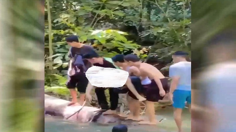 Mahasiswa Tewas Tenggelam di Air Terjun Moramo, Diduga Tersangkut Batu saat Menyelam