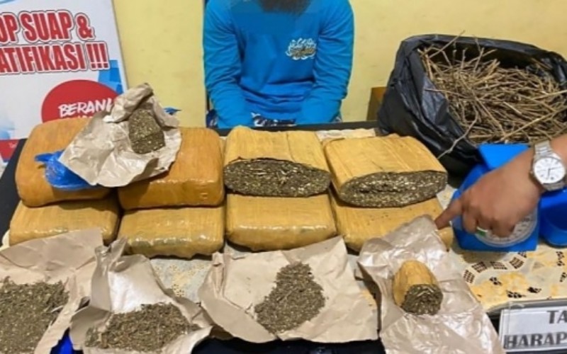 Pelajar Kendalikan Bisnis Narkoba Ditangkap Polisi, Barang Bukti 7 Kg Ganja