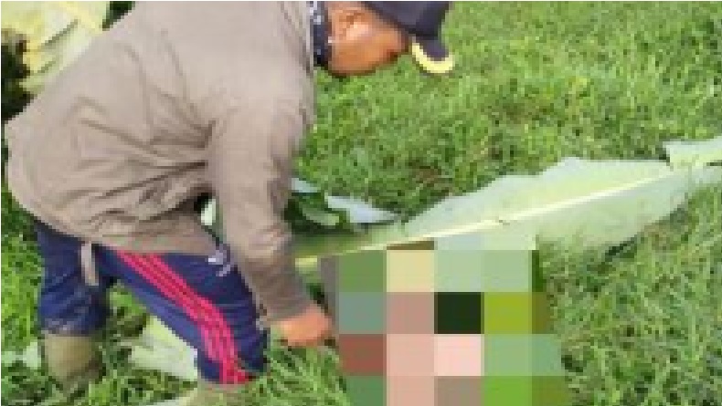 3 Korban Terseret Banjir di Blitar Ditemukan Meninggal, 1 Orang Masih dalam Pencarian