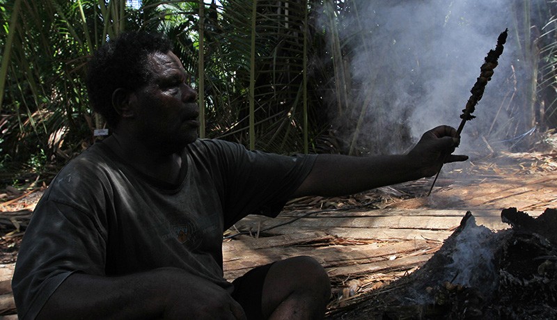 Berburu Ulat Sagu untuk Bahan Pangan - Bagian 2