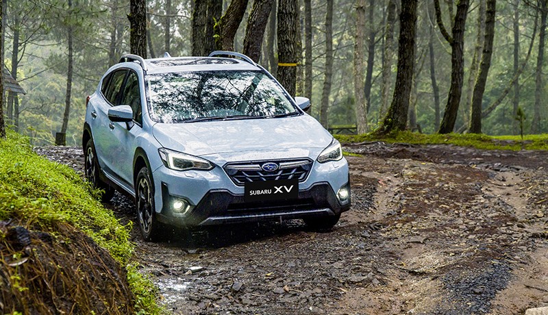 Menikmati Sensasi Berkendara dengan 2 SUV Subaru, Mendaki Lewati Hutan Pinus - Bagian 5