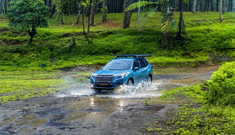 Menikmati Sensasi Berkendara dengan 2 SUV Subaru, Mendaki Lewati Hutan Pinus - Bagian 2
