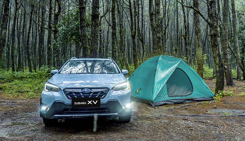 Menikmati Sensasi Berkendara dengan 2 SUV Subaru, Mendaki Lewati Hutan Pinus - Bagian 6