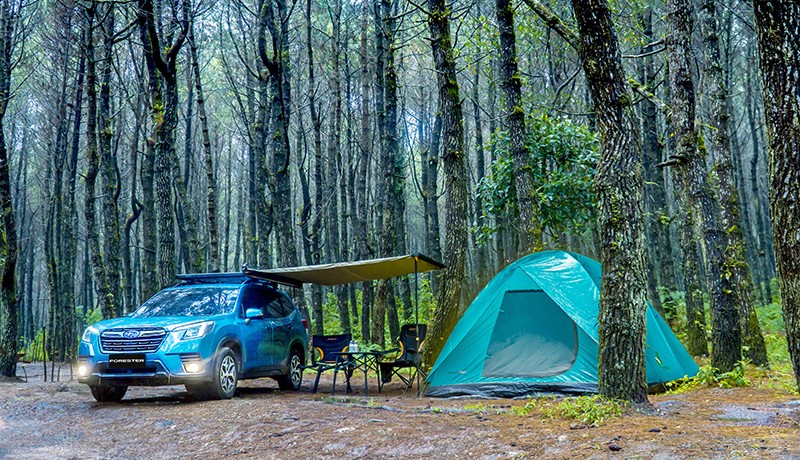 Menikmati Sensasi Berkendara dengan 2 SUV Subaru, Mendaki Lewati Hutan Pinus - Bagian 3