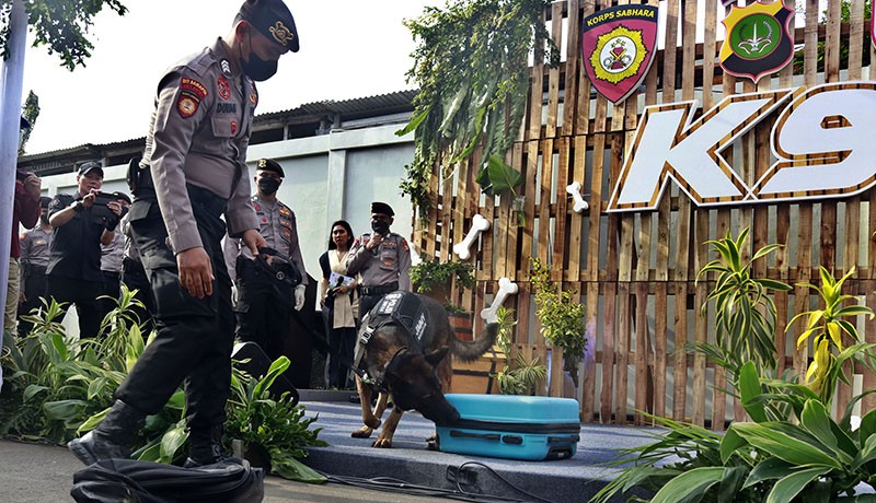 Aksi Anjing Pelacak K-9 Mencari Narkoba di Dalam Koper - Bagian 2