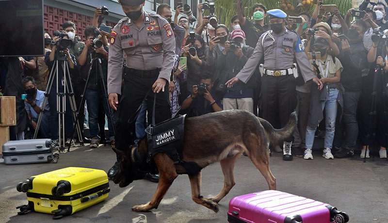 Aksi Anjing Pelacak K-9 Mencari Narkoba Di Dalam Koper