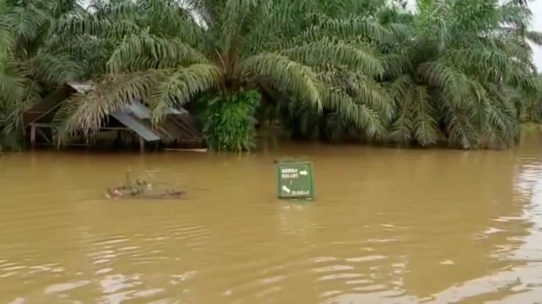 Banjir Terjang 4 Kecamatan Di Aceh Tamiang, Tinggi Air Capai 1,5 Meter