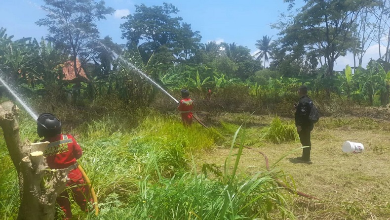 Lahan Kebun di Kuningan Terbakar Hebat dan Nyaris Merembet ke Bangunan Sekolah