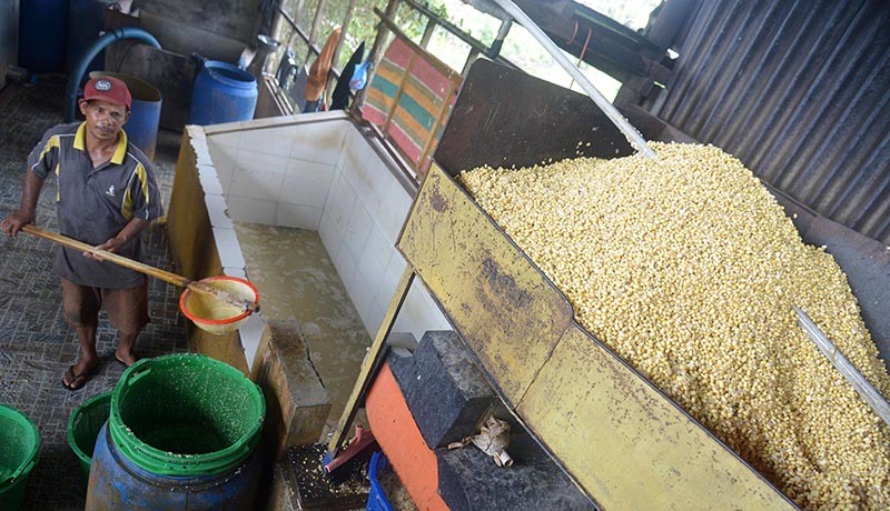 Harga Kedelai Impor Kembali Melonjak, Pengusaha Kurangi Ukuran Tempe - Bagian 2