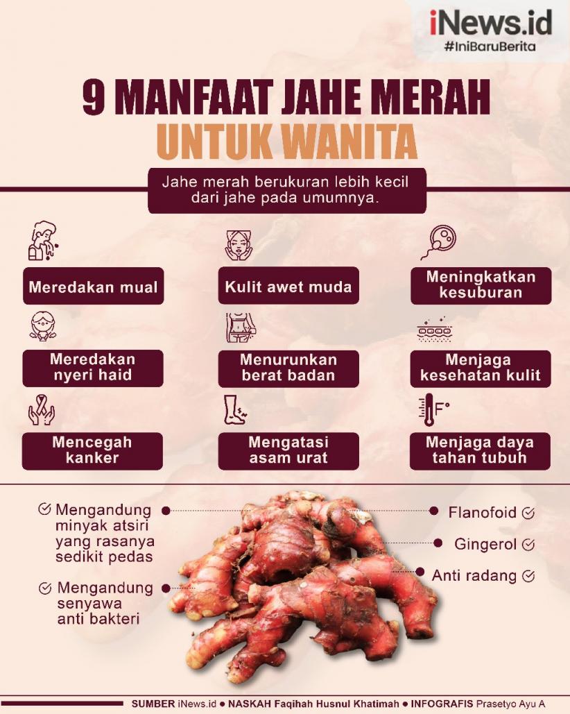 Infografis  9 Manfaat Jahe Merah untuk Wanita