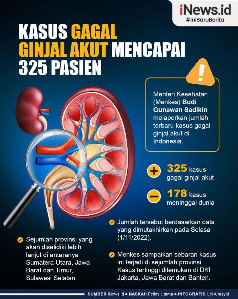 Infografis Kasus Gagal Ginjal Akut Di Indonesia Capai 325 Orang