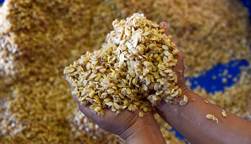 Stok Kedelai Impor di Kudus Cukup, Harga Cenderung Fluktuatif