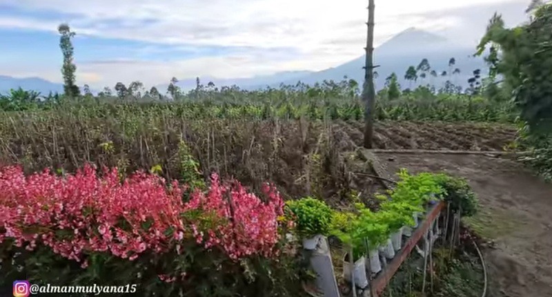 Desa Terpencil di Indonesia dengan Pemandangan Indah, Ternyata Semua