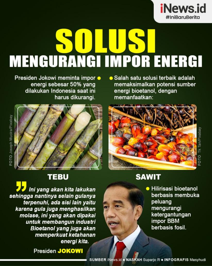 Infografis Solusi Mengurangi Impor Energi