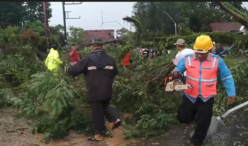 Petugas Gabungan Perbaiki Rumah Rusak akibat Angin Kencang di Pekalongan