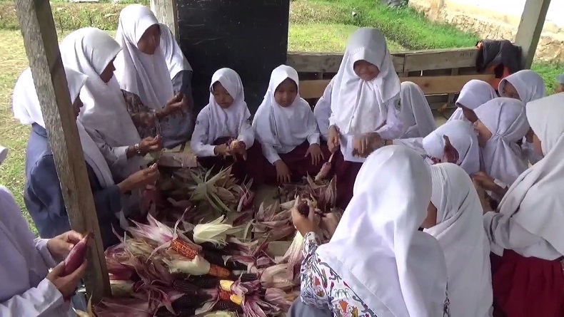 Ponpes di Cianjur Sukses Tanam Jagung Pelangi dengan Biji Warna-warni 
