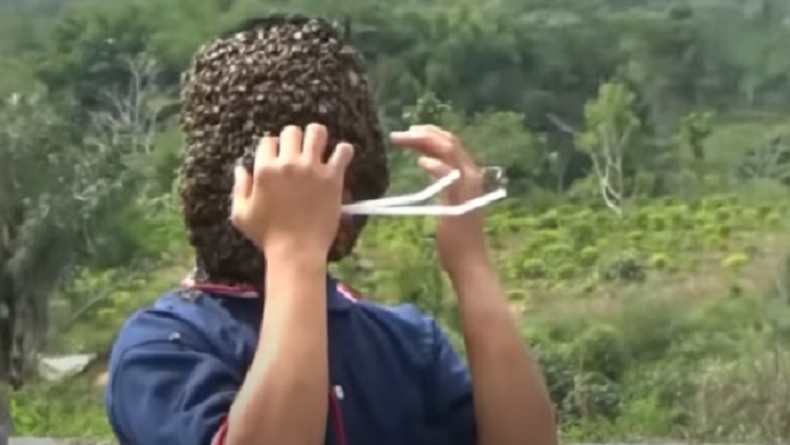 Manusia Lebah dari Sumatera Utara, Tirukan Suara hingga Panggil Koloni dari Jarak 100 Meter
